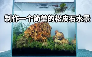 Download Video: 制作一个简单的松皮石水景