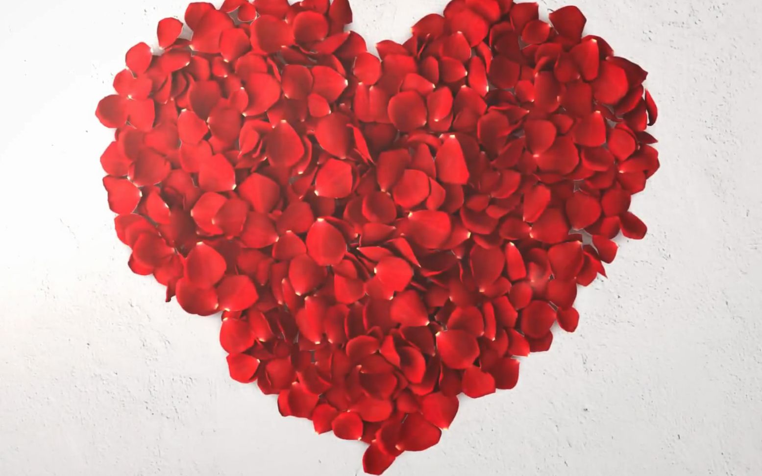 696唯美浪漫玫瑰花瓣飘落婚礼婚庆开场视频片头ae模板