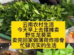 Download Video: 云南农村生活今天早上去摆摊卖野生龙葵菜卖完回家做薄荷炸排骨忙碌充实的生活