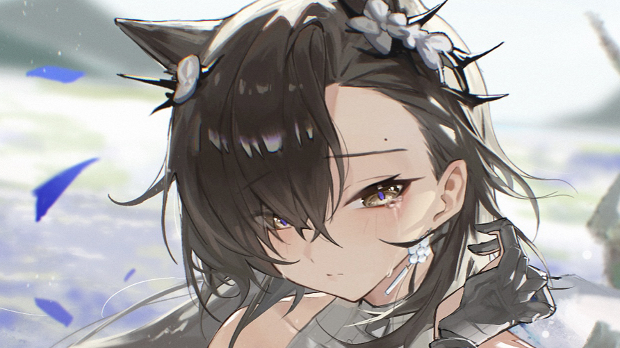 【明日方舟】生日快乐,拉维妮娅小姐哔哩哔哩bilibili