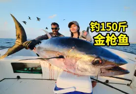 Download Video: 挑战150斤巨型金枪鱼，极限6人轮番拉线，切生鱼片鲜味生猛