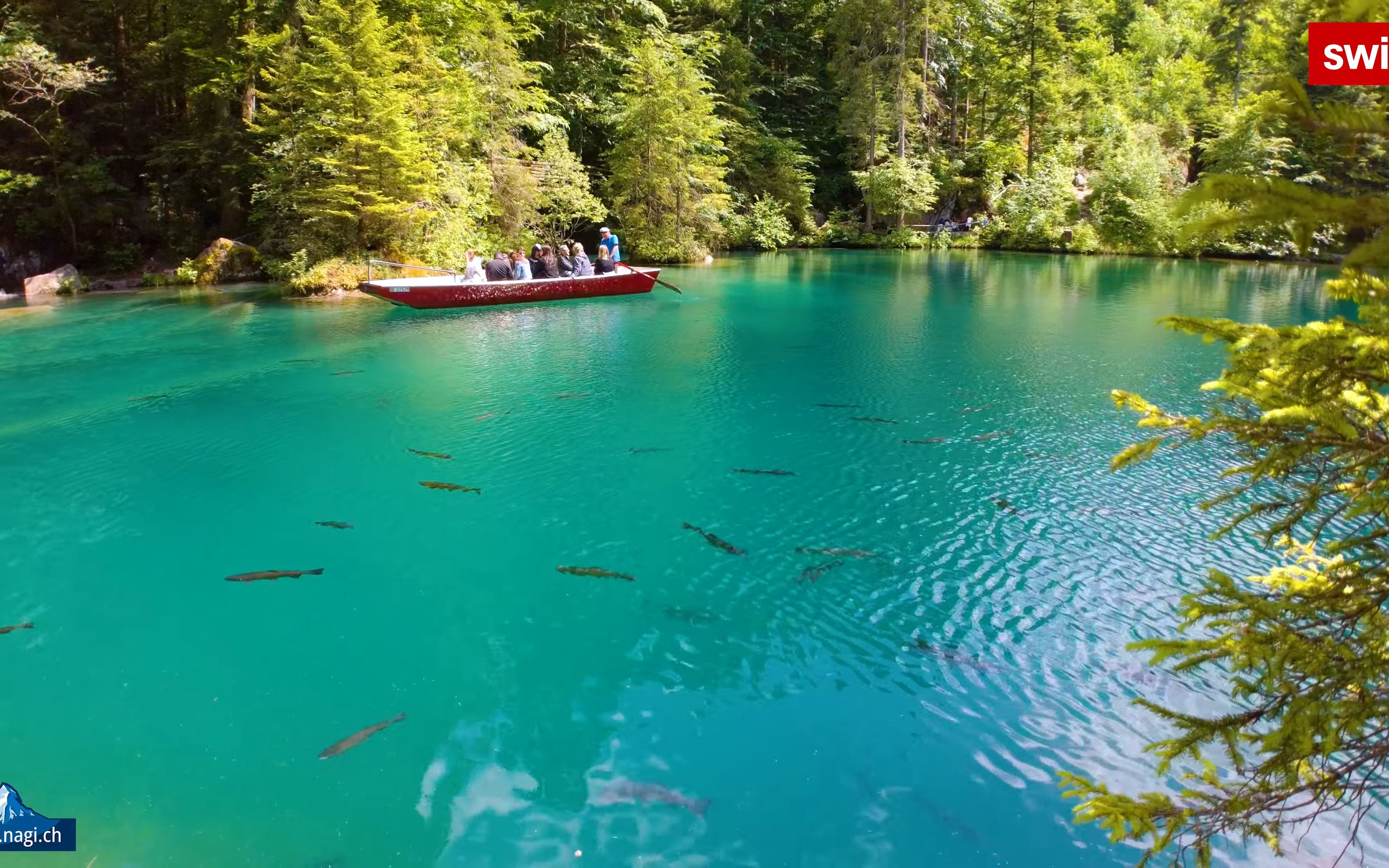 95【4k】瑞士绝美自然风光,像瑰宝一样隐匿在群山中.