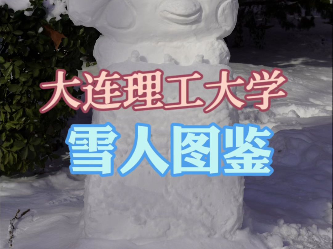 堆雪人技术哪家强?大连理工大学强!哔哩哔哩bilibili