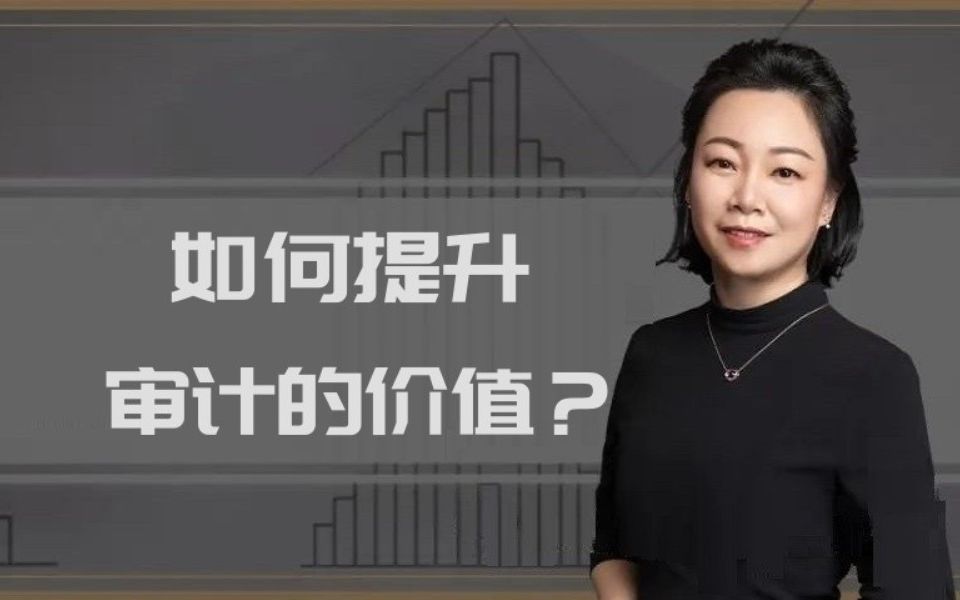 如何提升审计的价值?哔哩哔哩bilibili