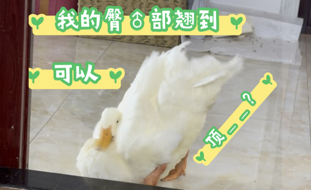 【黑黑黑痴汉】最新视频来袭,快来看看吧!哔哩哔哩bilibili