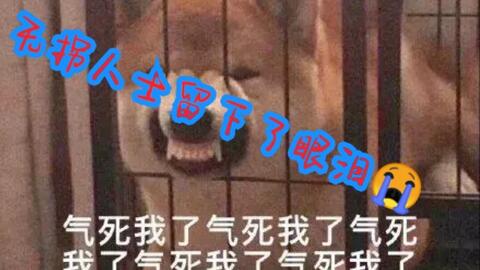 Fgo 国服4周年下四福袋抽卡 哔哩哔哩 Bilibili