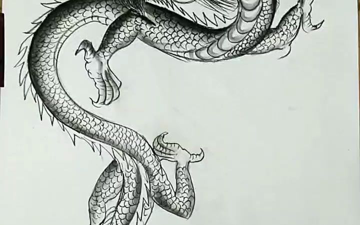 中国神龙绘画