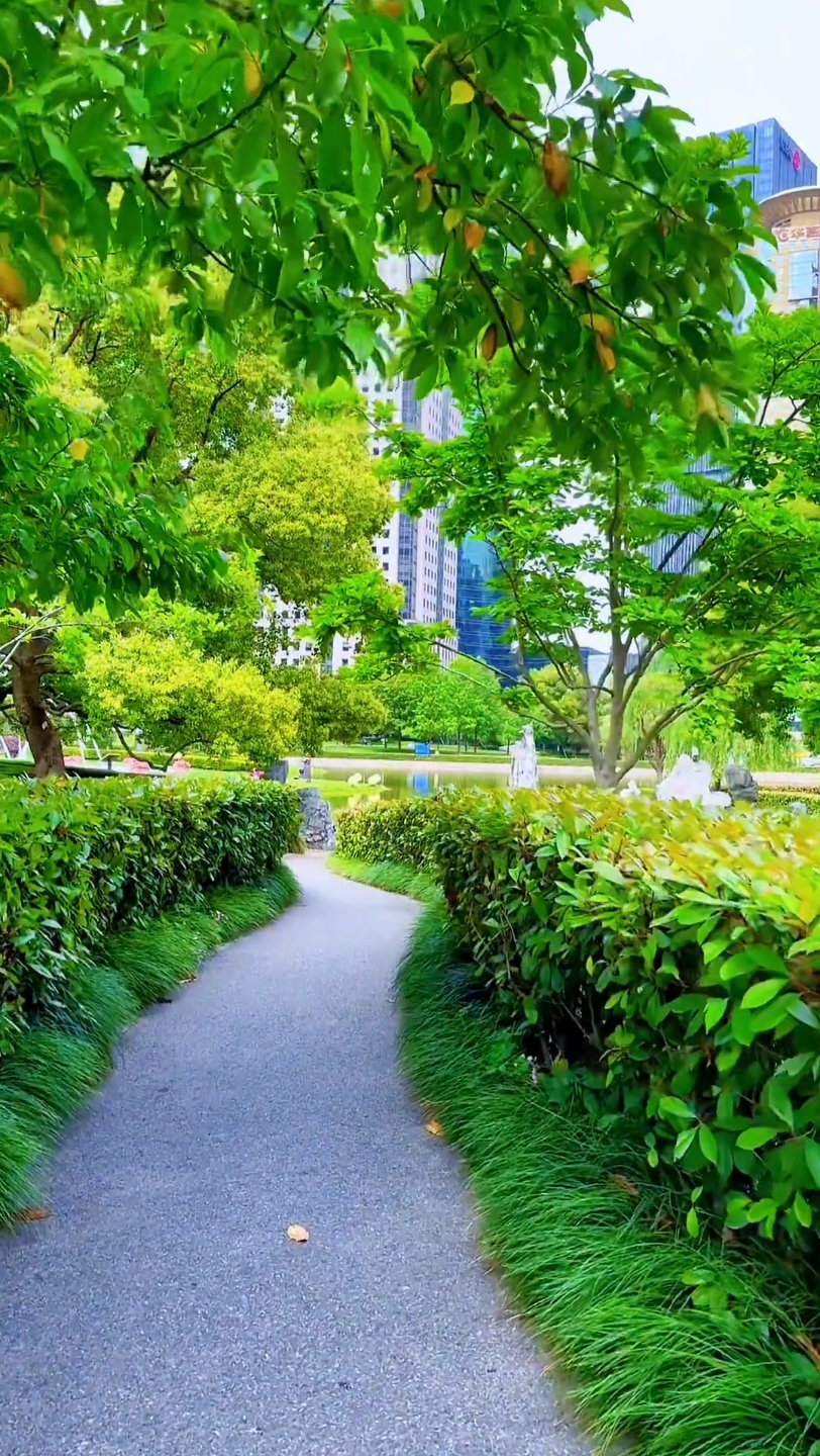 随手一拍都是美景 #生活处