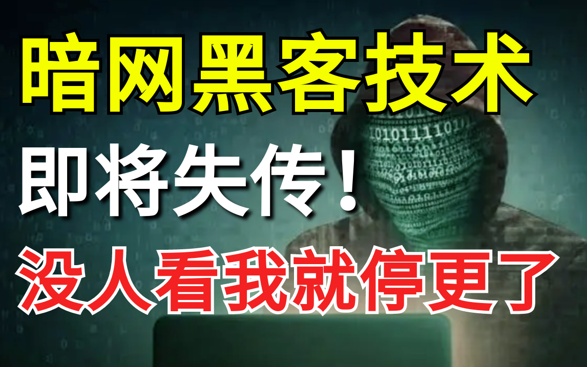 翻遍整个B站!这应该是2023年讲的最好的暗网黑客技术教程,满足99%人的黑客梦,零基础学习web网络安全渗透测试技术!哔哩哔哩bilibili