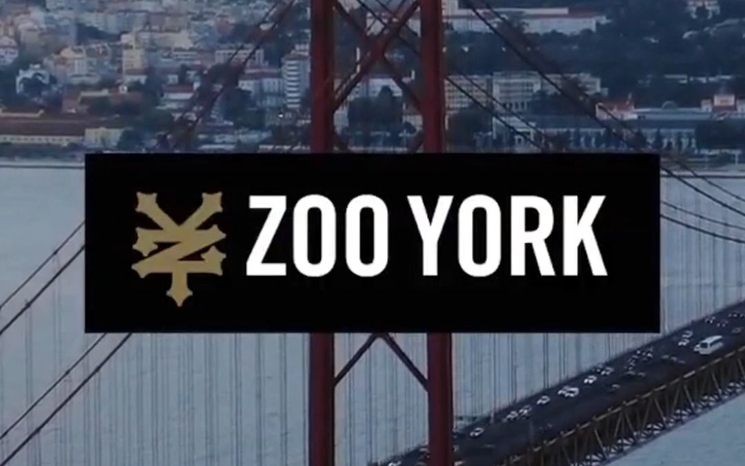 曾经最纯粹的纽约街头文化代表,Zoo York为何沦落到如今这番境地?哔哩哔哩bilibili