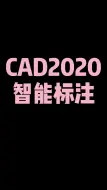 Download Video: CAD2020智能尺寸标注#CAD教程#