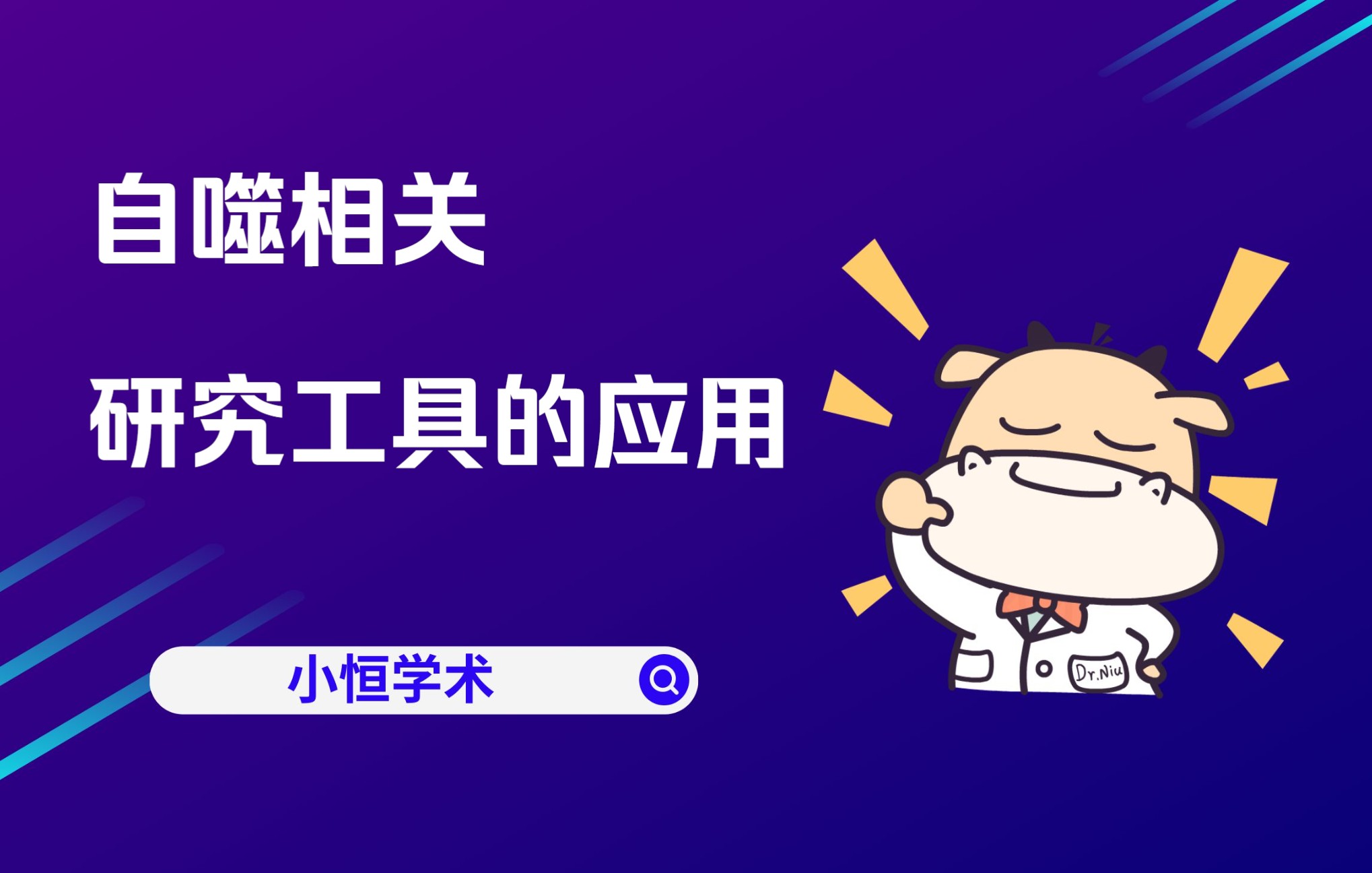 小恒学术——自噬相关研究工具的应用哔哩哔哩bilibili