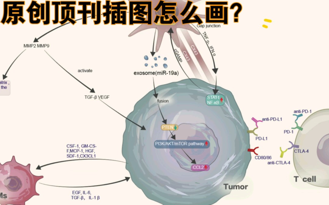 科研绘图用AI画顶刊插图,看我画图,给自己文章提升格调,往期案例重画,吸取经验自己动手画一张吧哔哩哔哩bilibili