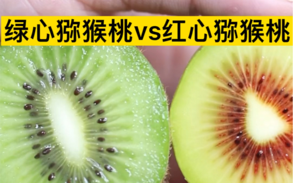 绿心猕猴桃和红心猕猴桃的区别，你喜欢吃那种