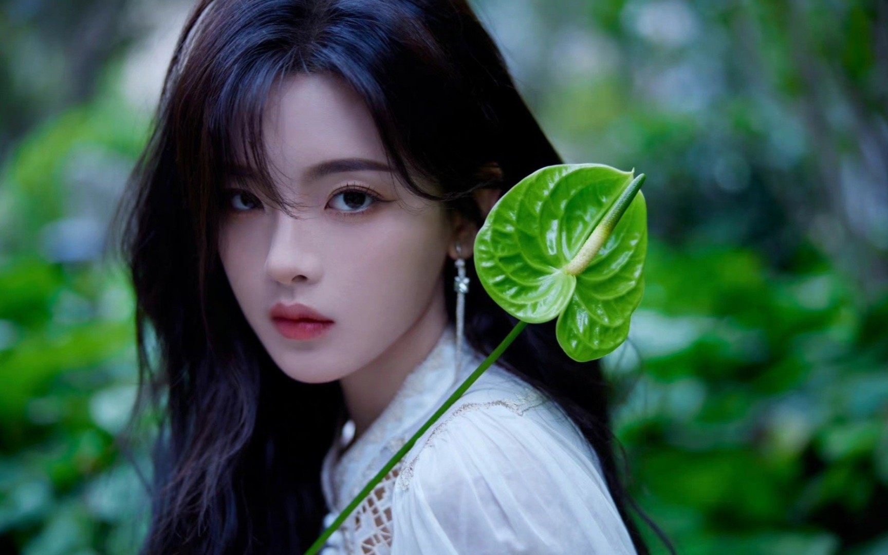 杨超越|荷塘越色