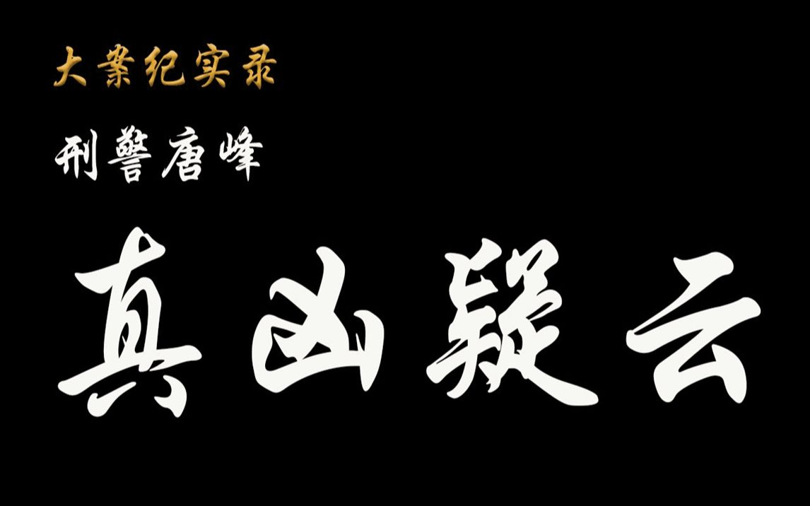 [图]案件纪实录刑警唐峰真凶疑云