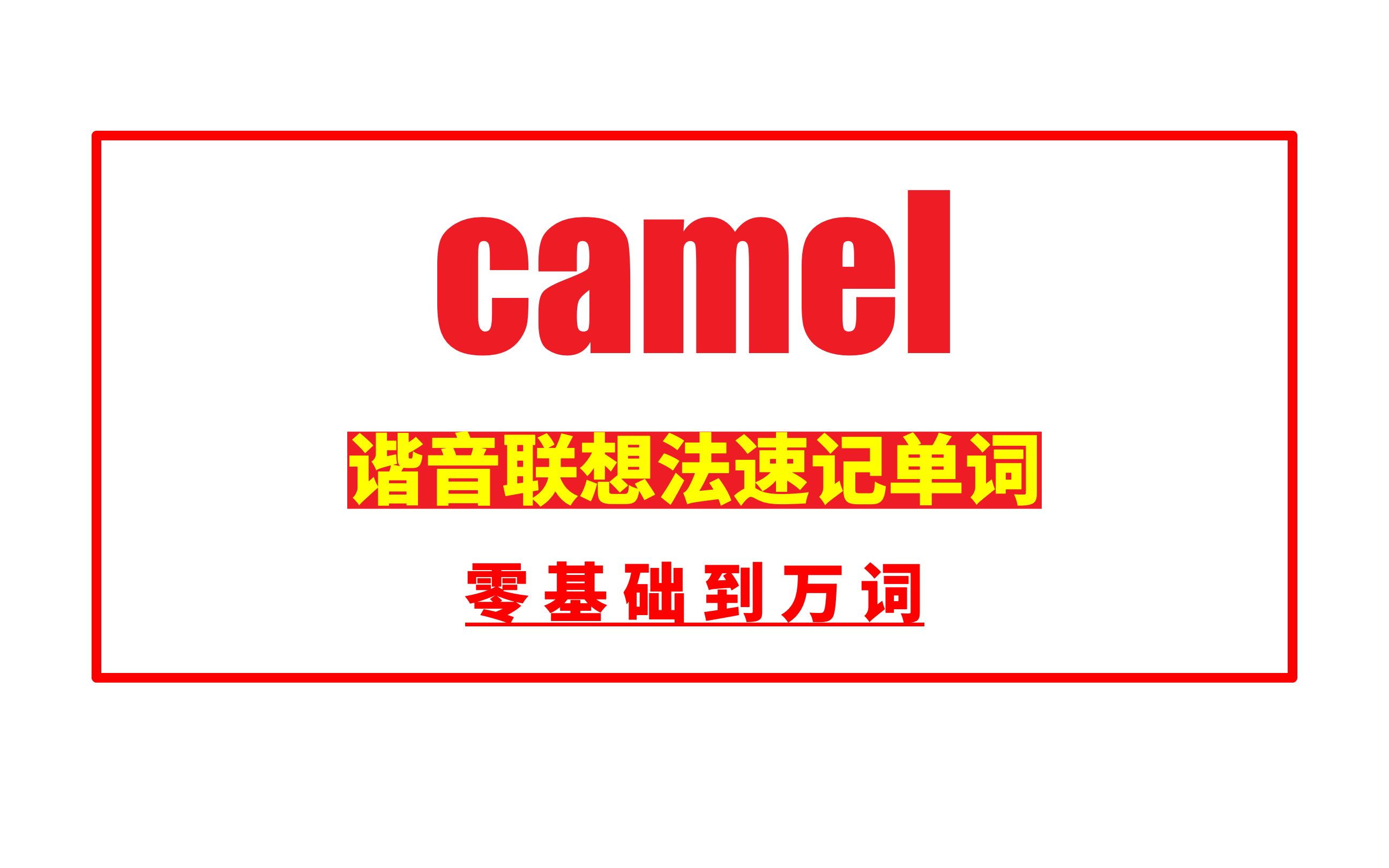 秒记单词:camel哔哩哔哩bilibili