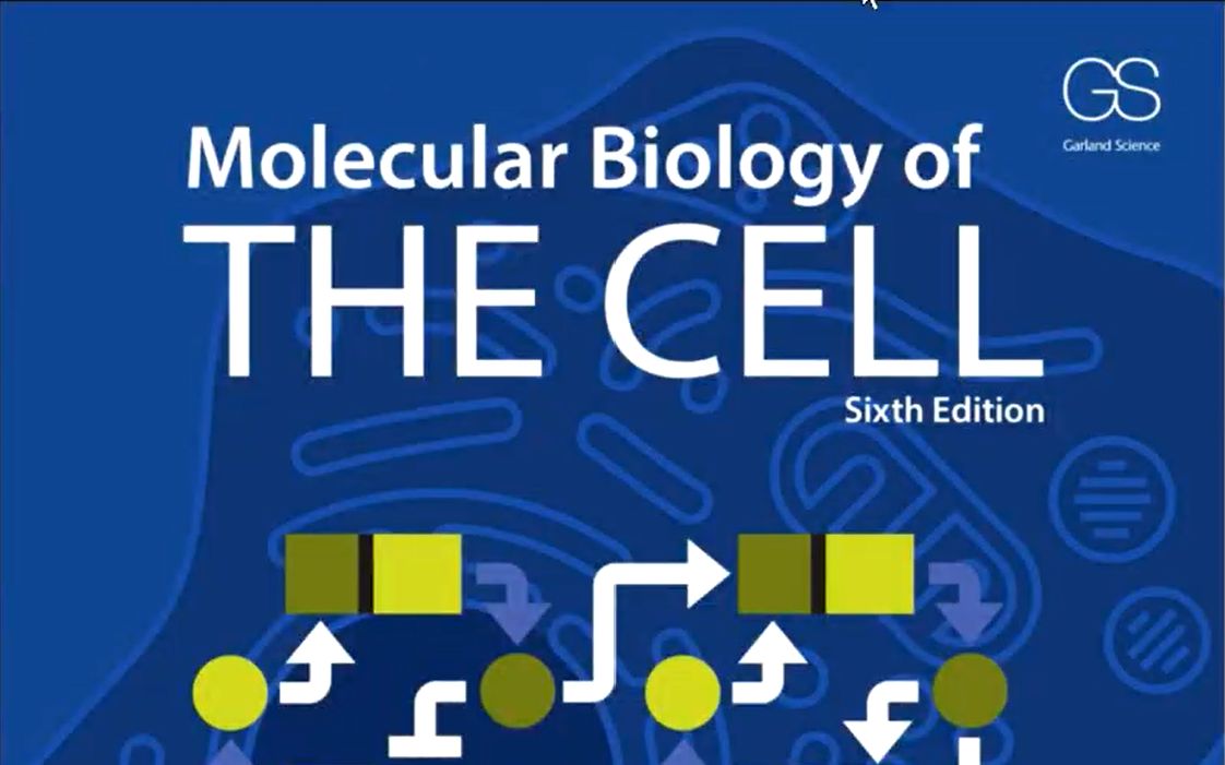 Day12(Page6163)一起完成Molecular biology of the cell(分子细胞生物学)的阅读吧!哔哩哔哩bilibili