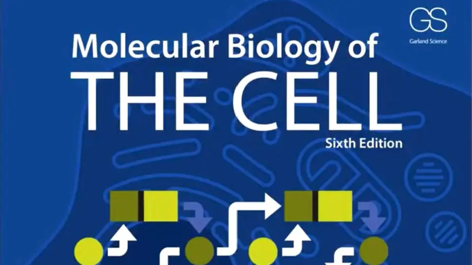 全网首发】细胞的分子生物学第七版动画_哔哩哔哩_bilibili