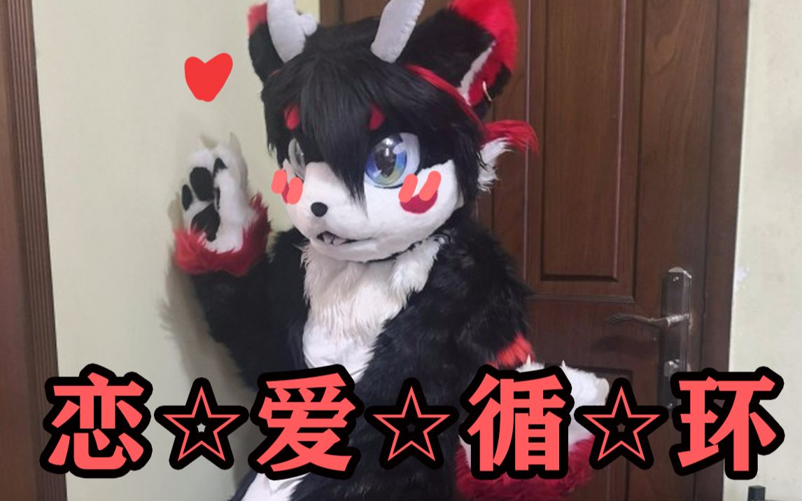 【Fursuit】狼桃的★恋☆爱☆循☆环★哔哩哔哩bilibili