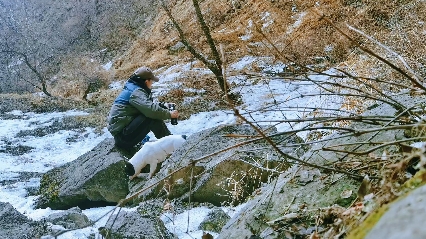 开局一人一狗,装备全靠.#惬意周末初春