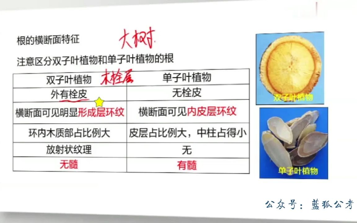 009.09军队文职医学类(医学基础+中药学)中药鉴定学第五章常用植物类中药的鉴别01哔哩哔哩bilibili