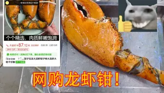 180一个大虾钳！值吗？？？