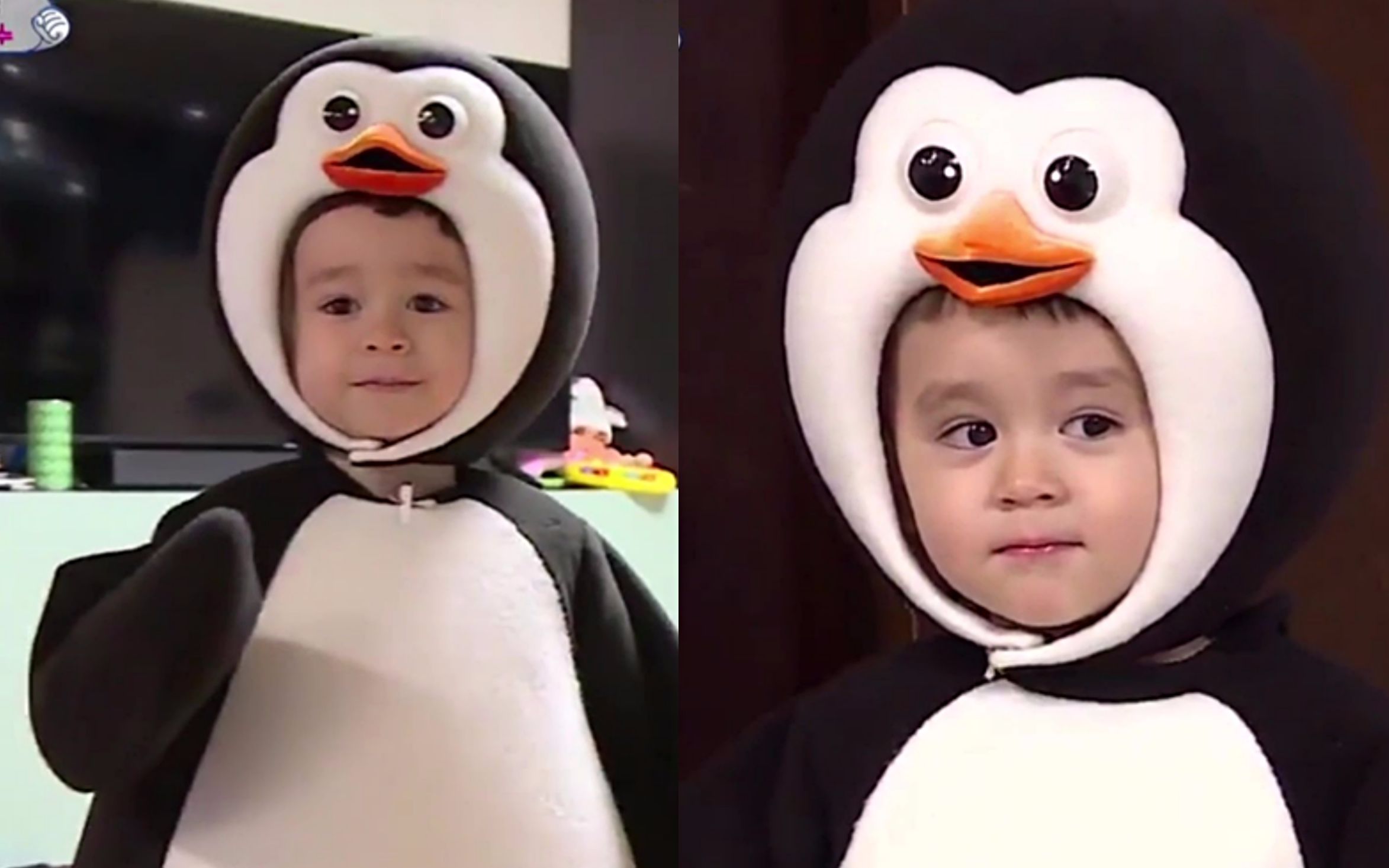 【威本联盟】前一分钟是精华哈哈哈哈哈威廉对pengsoo的灵魂发问看懂