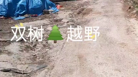 [图]双树林道