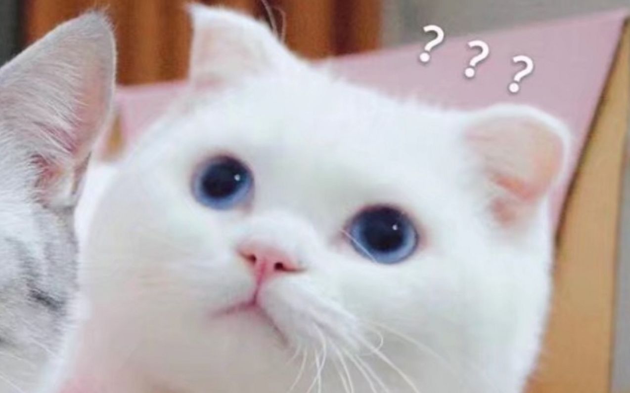 在b站上市当天以发行价买入现在的收益竟然是