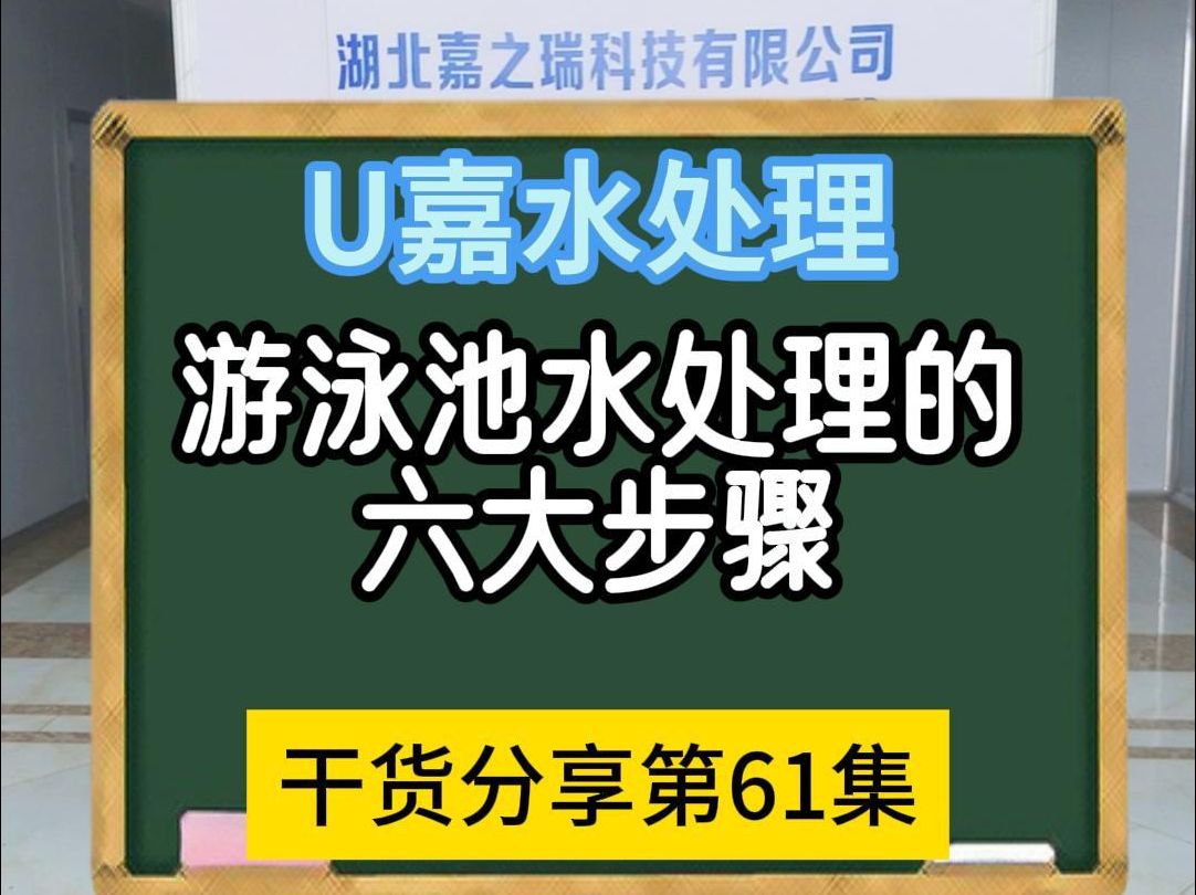 游泳池水处理的六大步骤哔哩哔哩bilibili