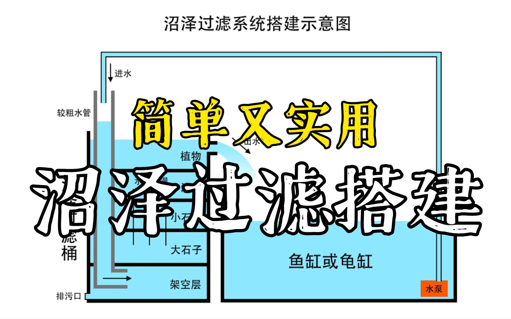 过滤篇【四】:最简单最实用的沼泽过滤搭建教程,只需水泵和两根水管,动手能力再差都能学会哔哩哔哩bilibili