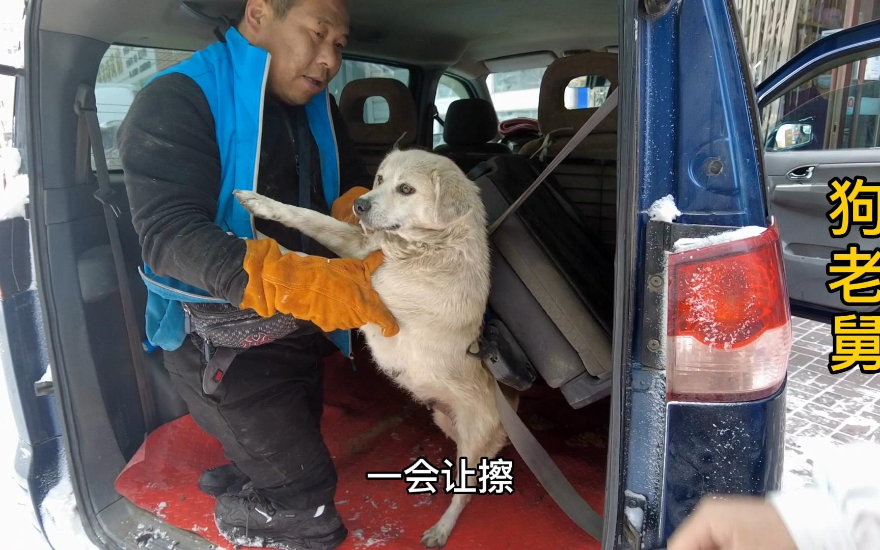 流浪狗大院花巨资给狗狗做绝育手术,可以减少繁殖减少更多流浪狗哔哩哔哩bilibili