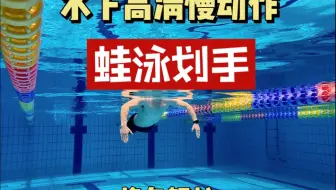 正确的蛙泳划手能让你换气轻松、速度还提升