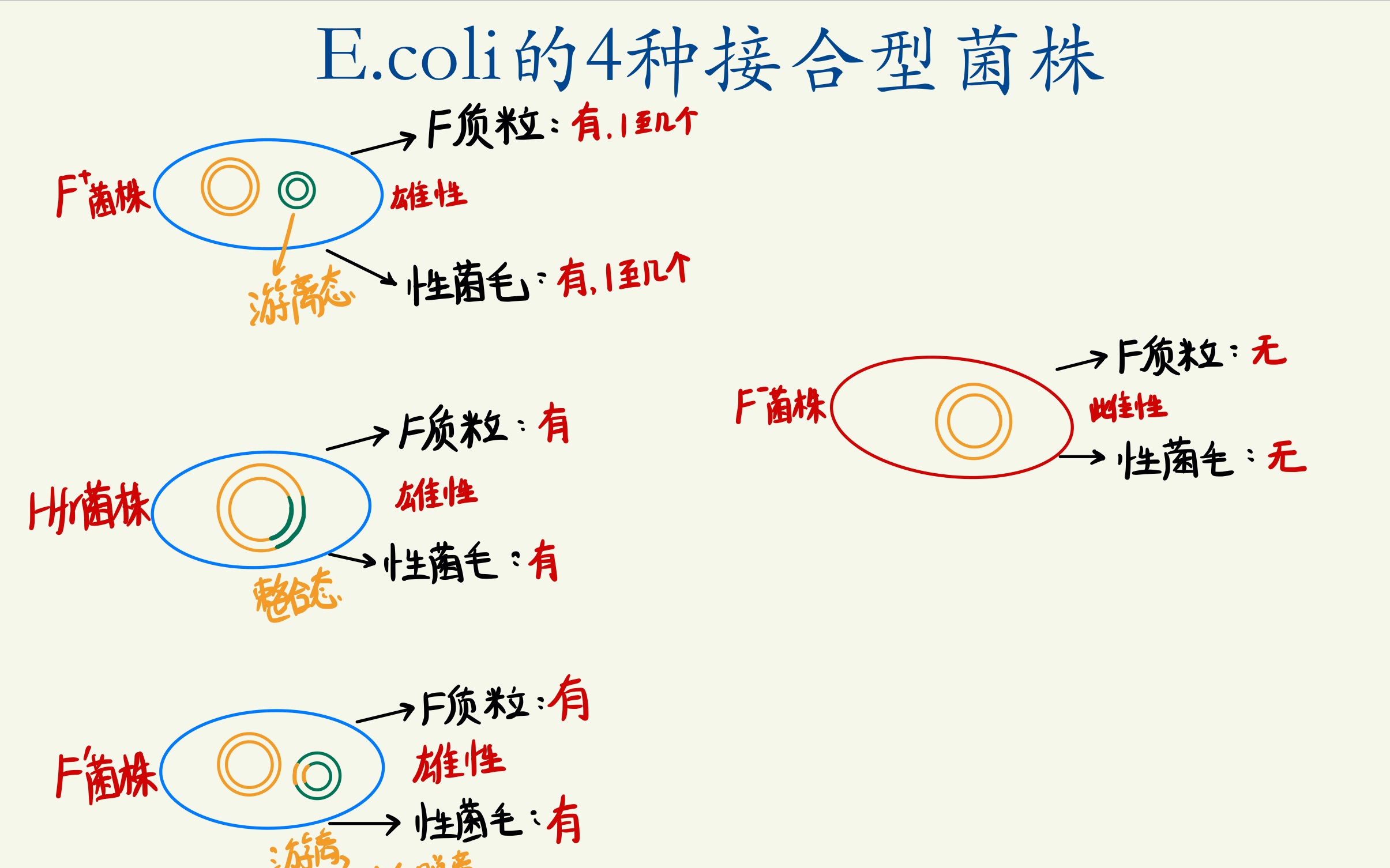 81.微生物学/大肠杆菌的四种接合型菌株的区别/微生物的遗传变异和育种/原核生物的基因重组哔哩哔哩bilibili