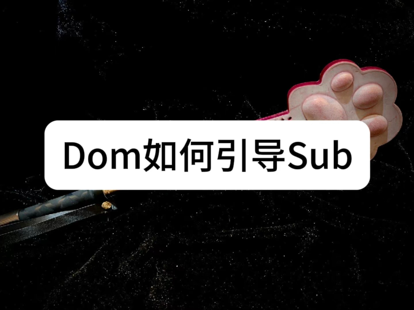 Dom如何引导Sub ?哔哩哔哩bilibili