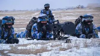 【讲堂600期】边防利器，中国QLZ-04式自动榴弹发射器