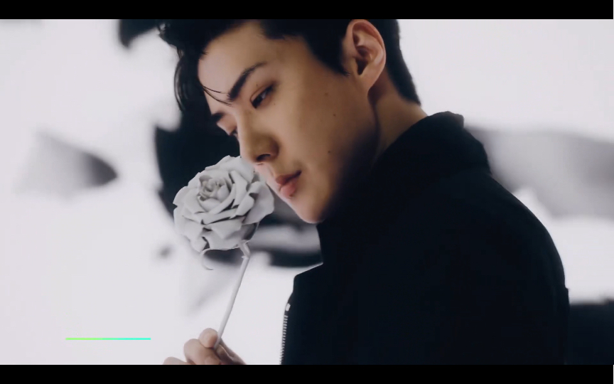 dior迪奥全球品牌大使吴世勋(se hun)