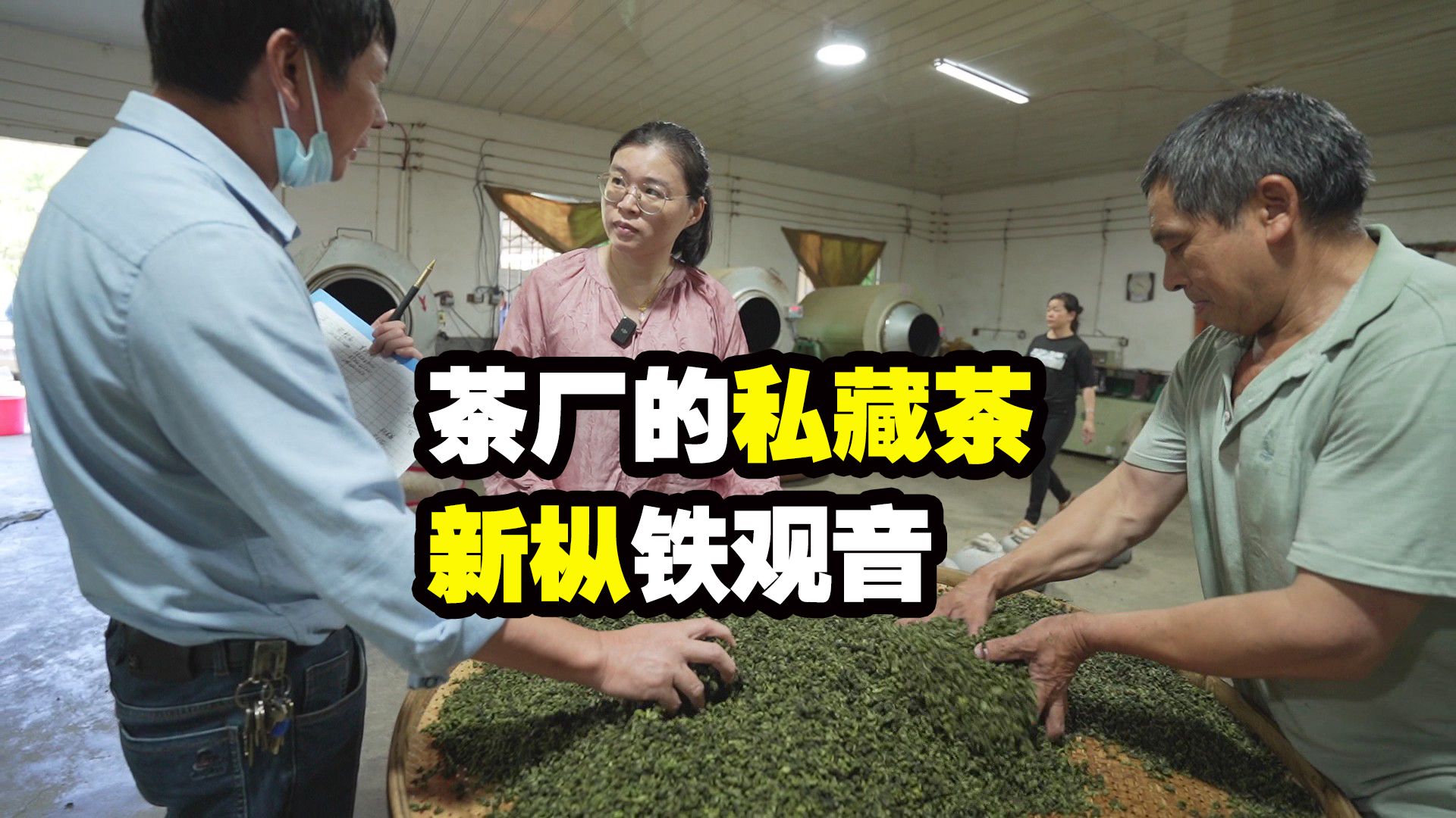 茶厂师傅私藏的新枞铁观音,韵味确实不一样,仅26斤茶阿梅全收了哔哩哔哩bilibili