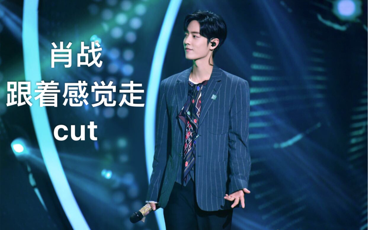 肖战 我们的歌 跟着感觉走cut