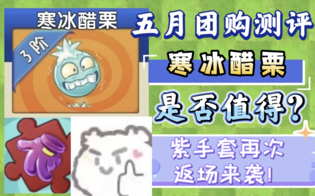 【pvz2】團購寒冰醋栗是否值得?良心活動如今形同虛設?