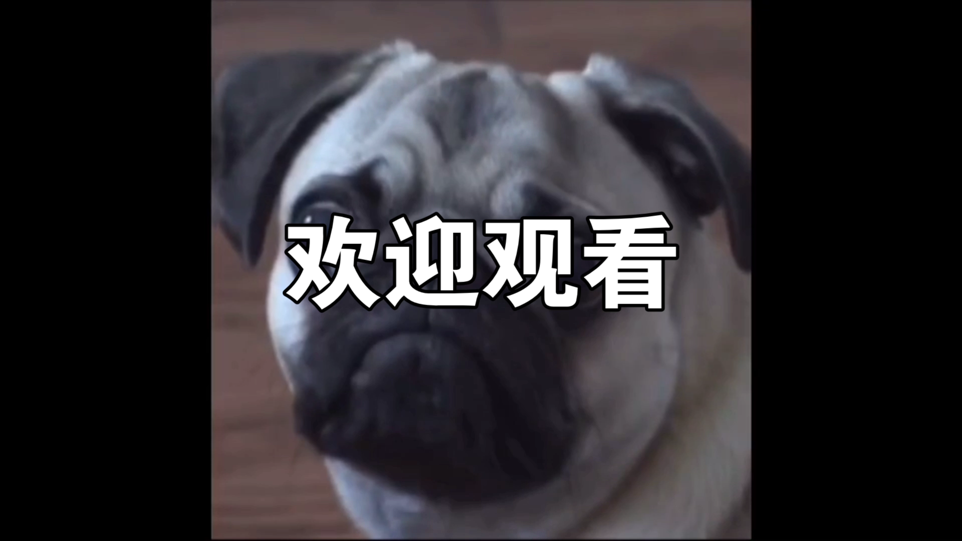 活动作品欢迎观看