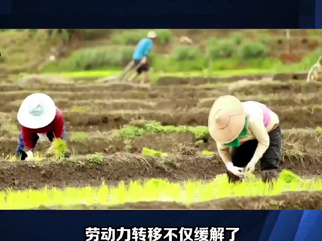 农硕考研必看:深度剖析农村社会流动:动力、影响与未来展望!哔哩哔哩bilibili