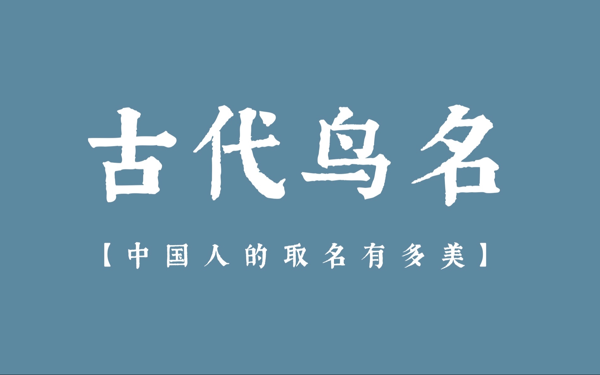 【中国人的取名有多美?】盘点一些好听的古代鸟名哔哩哔哩bilibili