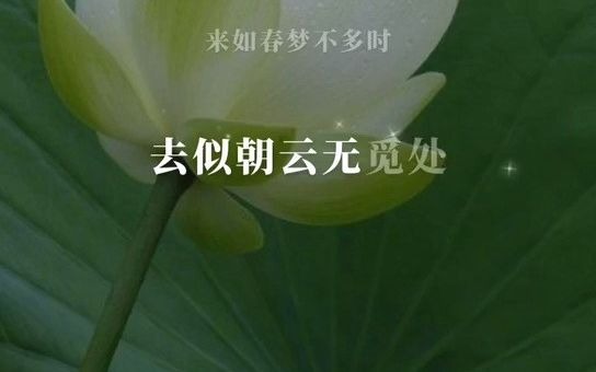 我们一起学唱《花非花》#全民k歌#花非花#花声匠壹声教唱导师哔哩哔哩bilibili