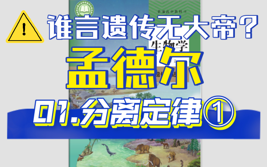 【10min遗传】「第1期」分离定律的基础知识 又快又好!哔哩哔哩bilibili