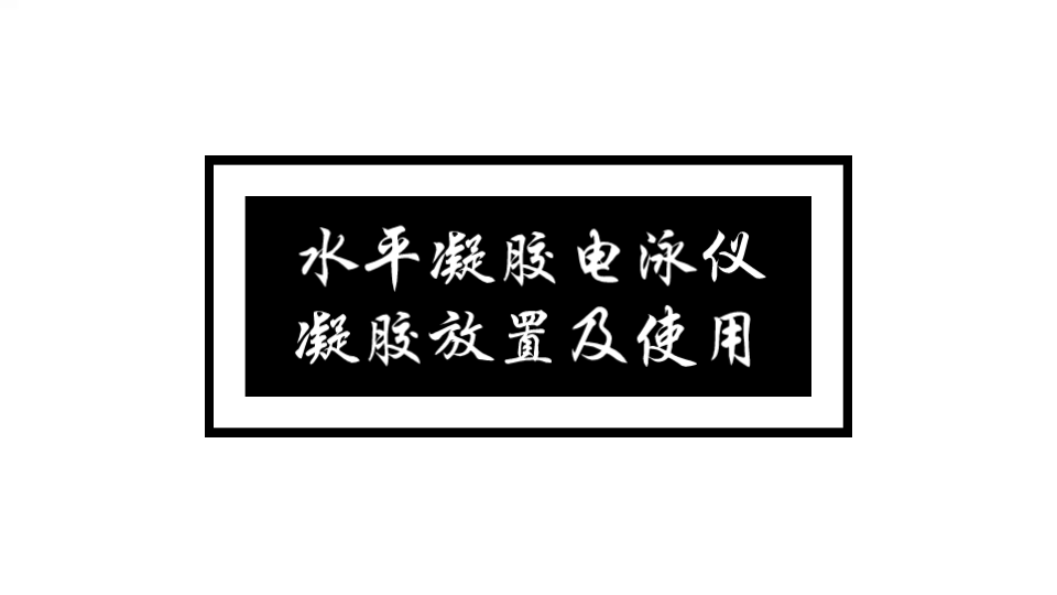 水平凝胶电泳仪,凝胶放置及电泳仪使用/课程实录哔哩哔哩bilibili