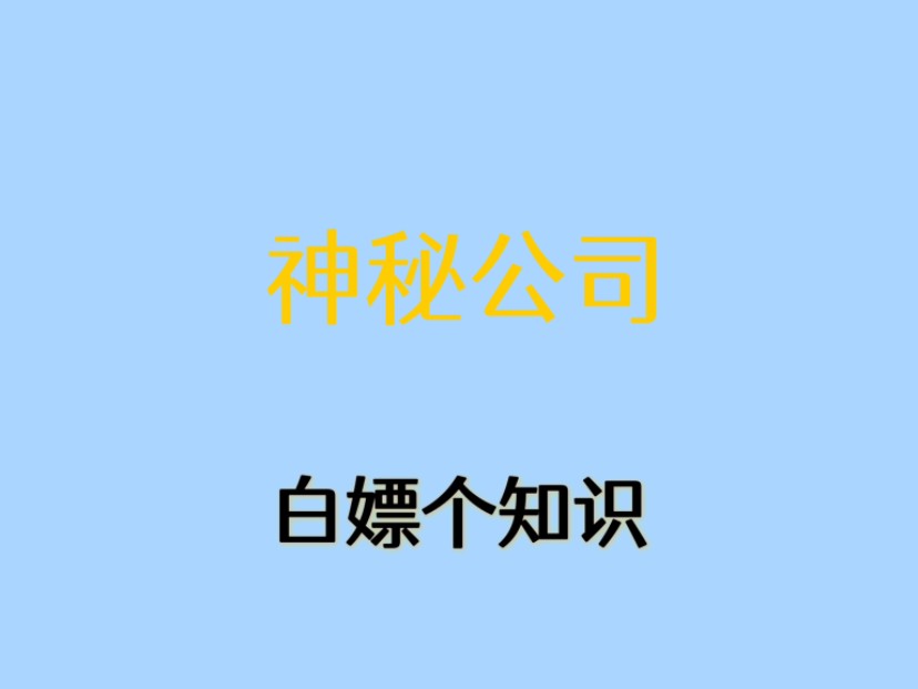 互联网上最神秘的公司你知道是谁吗?#内容过于真实#互联网哔哩哔哩bilibili