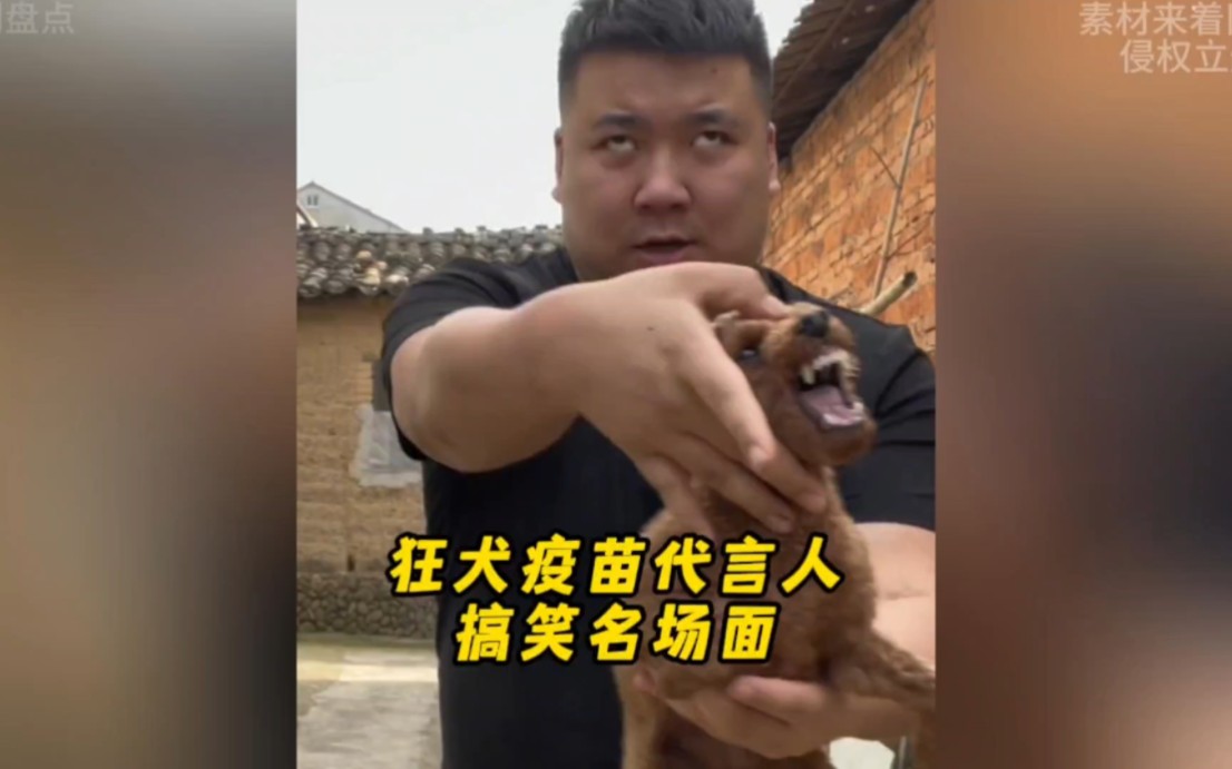 狂犬疫苗代言人盘点笑不活了哔哩哔哩bilibili