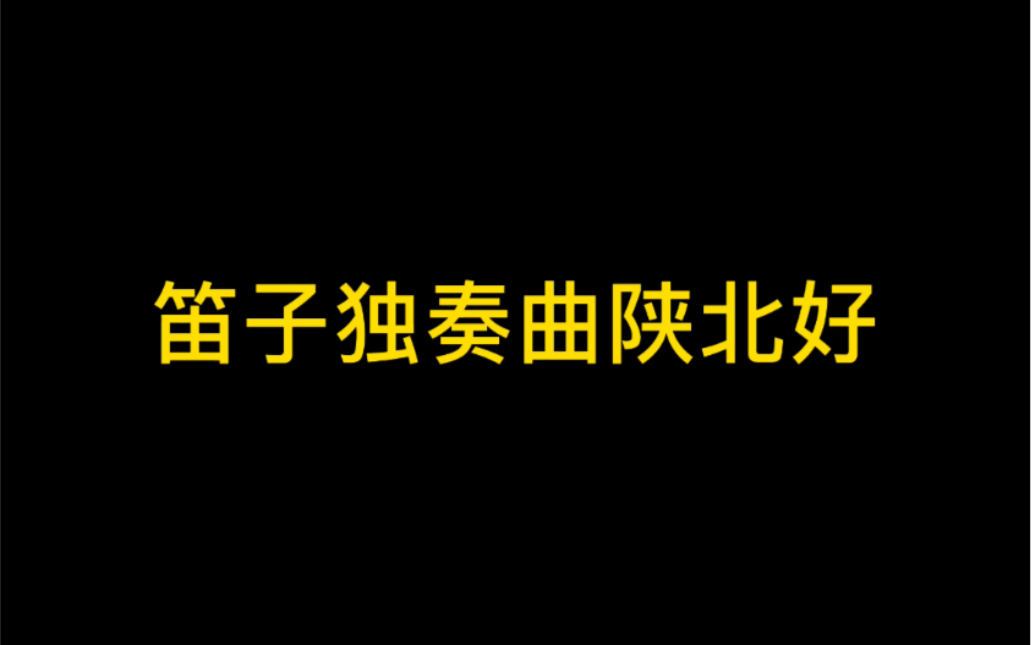 笛子独奏曲陕北好哔哩哔哩bilibili